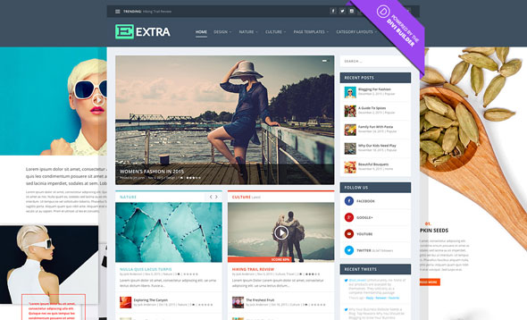 Extra theme wordpress cho blog tin tức, giới thiệu website