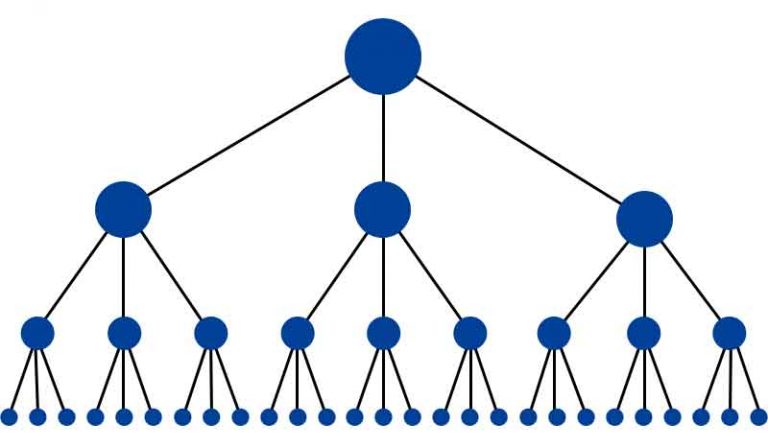 Có nên đi link ngay khi mới tạo website?