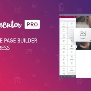 Elementor PRO 3.29.0 - WordPress Page Builder