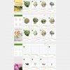 Giao diện website bán hoa - Wordpress Theme - GDHOA016